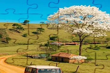 Rural_willys