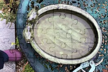 Birdbath on garden table