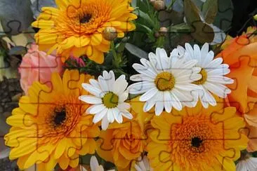 Blüten jigsaw puzzle