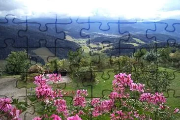 Schwarzwald