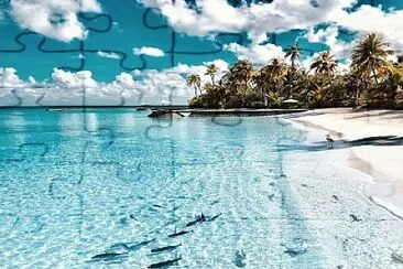 Ilha azul