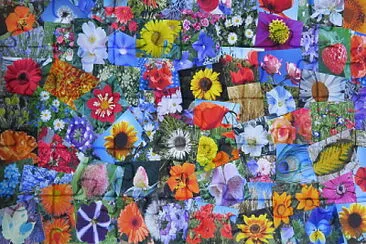 Blüten