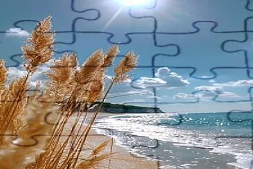 Praia com plantação