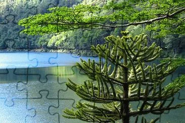 paisajes jigsaw puzzle