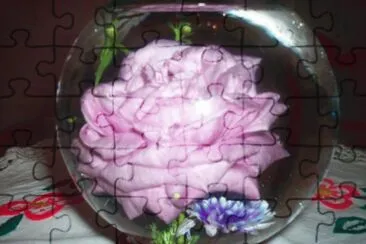 foto jigsaw puzzle