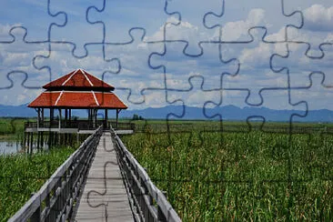  jigsaw puzzle