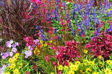 Blumenbeet