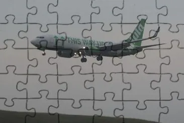  jigsaw puzzle