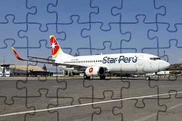  jigsaw puzzle