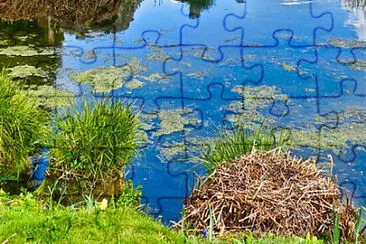 jigsaw puzzle
