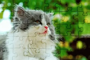 . jigsaw puzzle