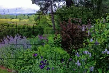 Lilacs and Buttercups