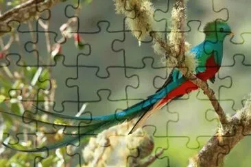 . jigsaw puzzle