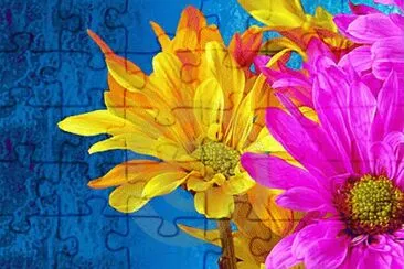 image jigsaw puzzle