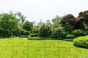  jigsaw puzzle