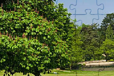  jigsaw puzzle