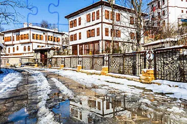  jigsaw puzzle