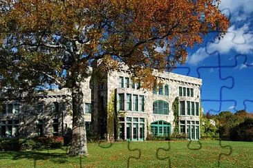  jigsaw puzzle