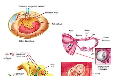 Puzzle Perkembangbiakan Makhluk Hidup