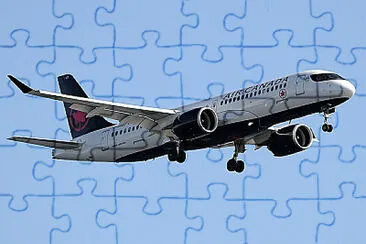  jigsaw puzzle