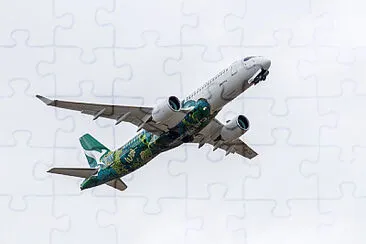  jigsaw puzzle