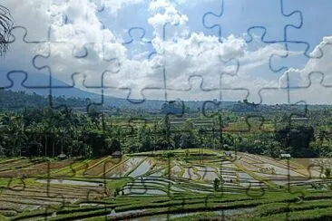 Rizières Bali Nord