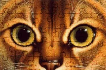 kitty