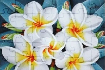 image jigsaw puzzle