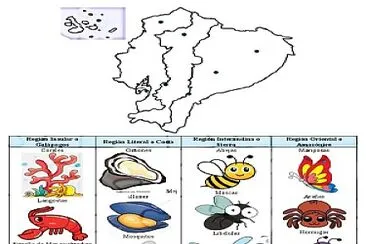 animales invertebrados