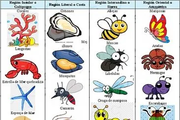 ANIMALES INVERTEBRADOS DEL ECUADOR