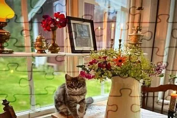 Gato jigsaw puzzle