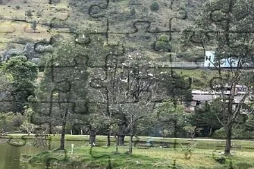 PAZ