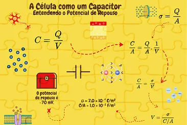 Célula e capacitor