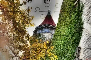  jigsaw puzzle