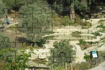אגמון jigsaw puzzle