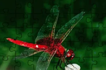 . jigsaw puzzle