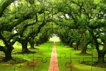 PAISAJE jigsaw puzzle
