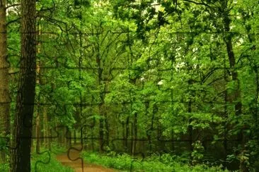PAISAJE jigsaw puzzle