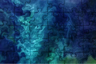Raro jigsaw puzzle