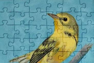 bird jigsaw puzzle