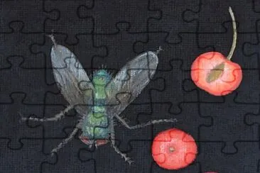 fly jigsaw puzzle