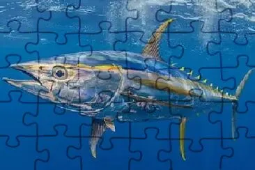 Imagem jigsaw puzzle