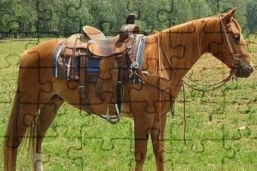 Axl jigsaw puzzle