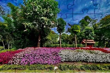פאזל של Buenos Aires Jardín Japones-1