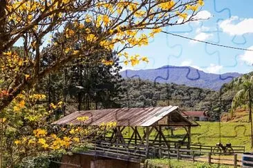 imagem jigsaw puzzle