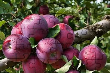 imagem jigsaw puzzle
