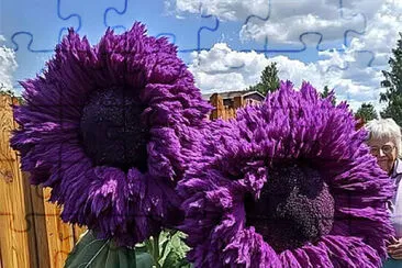 imagem jigsaw puzzle