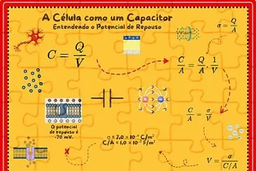 Potencial de repouso jigsaw puzzle