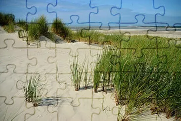  jigsaw puzzle