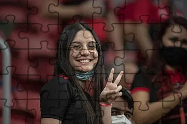  jigsaw puzzle